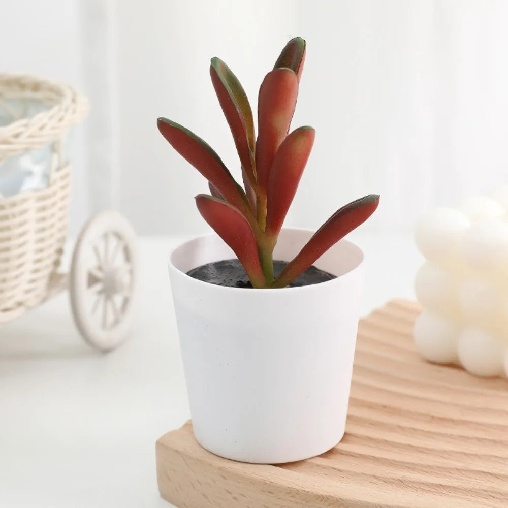"fake succulent plants bulk pack with mini bonsai style"