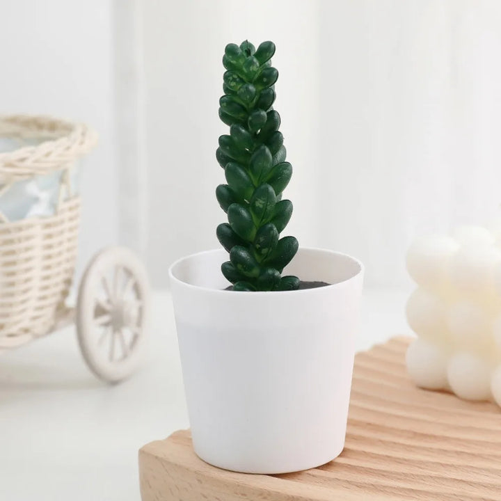 low-maintenance fake succulent plants bulk for offices"