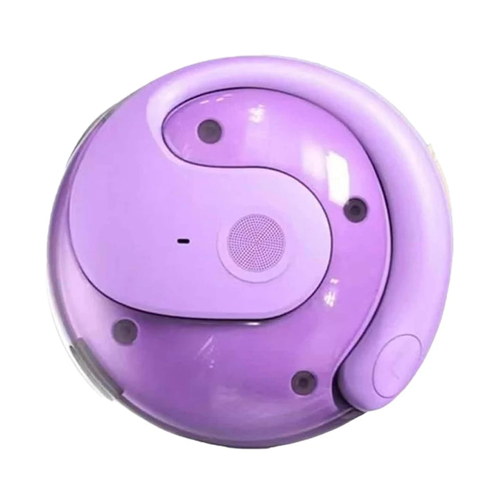 noise-cancelling real time translation earbuds