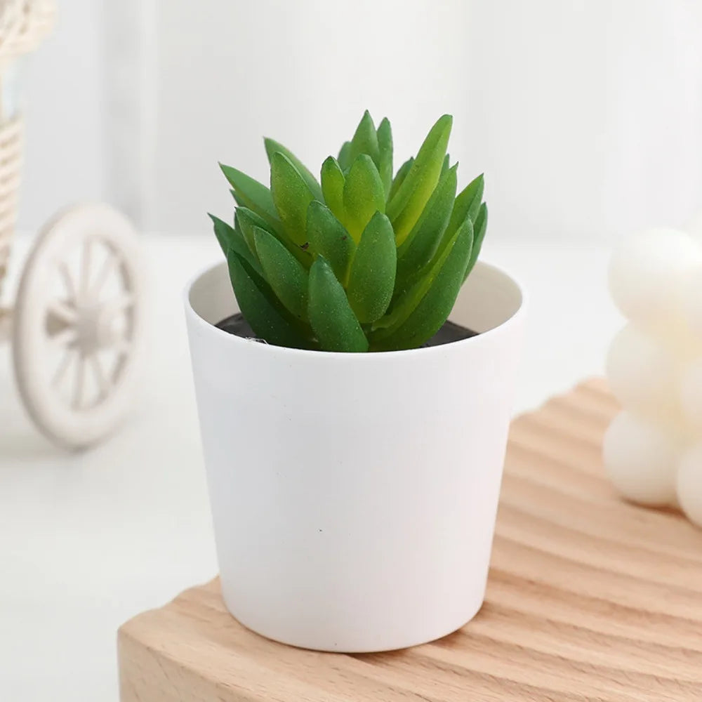 "realistic fake succulent plants bulk USA"