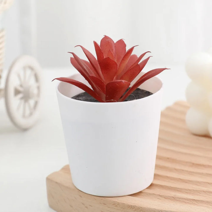 "plastic fake succulent plants bulk decor for home"