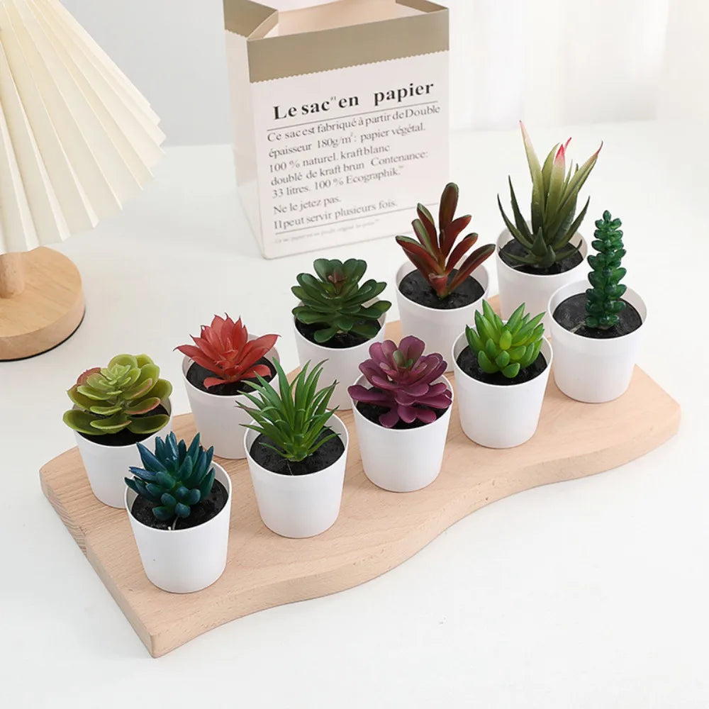 "home shelf styling with fake succulent plants bulk"